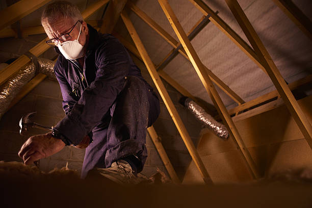 Best Eco-Friendly Insulation in Manasquan, NJ
